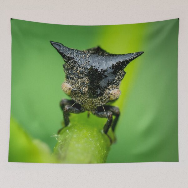 Item preview, A cool looking treehopper! (Gargarini) chilling on the petiole  designed and sold by AvonPerception.