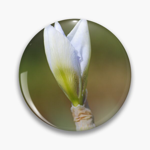 Item preview, Light Blue Iris Bud Of Spring  designed and sold by Joy Watson - Natural Light Photography .