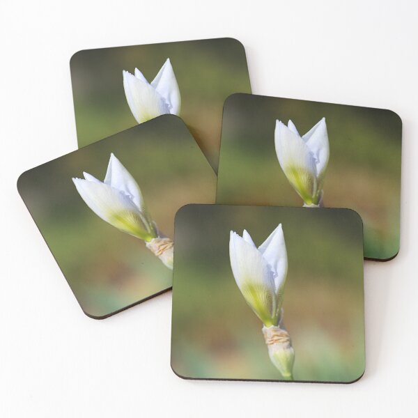 Item preview, Light Blue Iris Bud Of Spring  designed and sold by Joy Watson - Natural Light Photography .