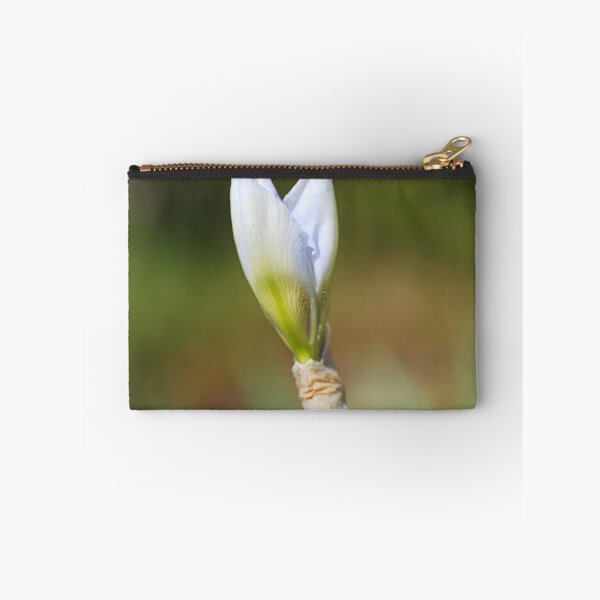 Item preview, Light Blue Iris Bud Of Spring  designed and sold by Joy Watson - Natural Light Photography .