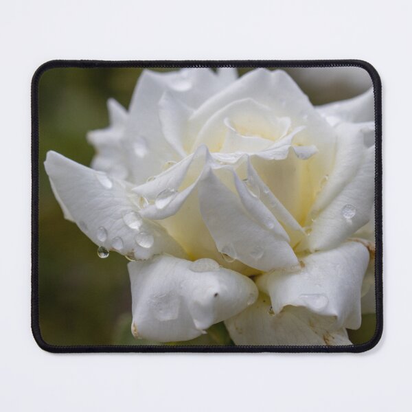 Item preview, Rose 2 designed and sold by Jacquiamber.