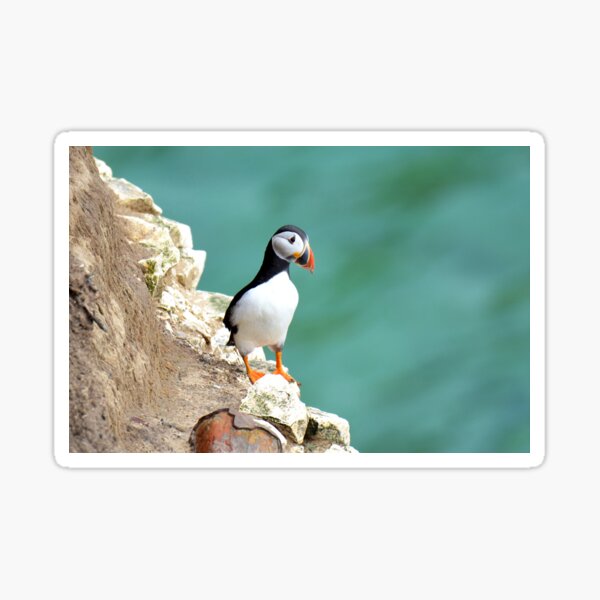 Item preview, Puffin designed and sold by YussefRafik.