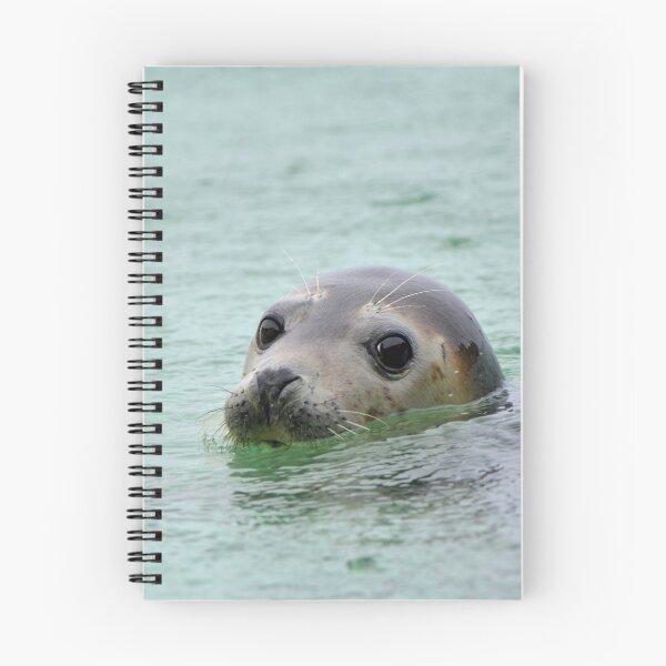 Item preview, Common Seal designed and sold by YussefRafik.