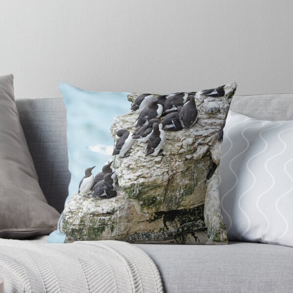 Item preview, Guillemot Colony designed and sold by YussefRafik.