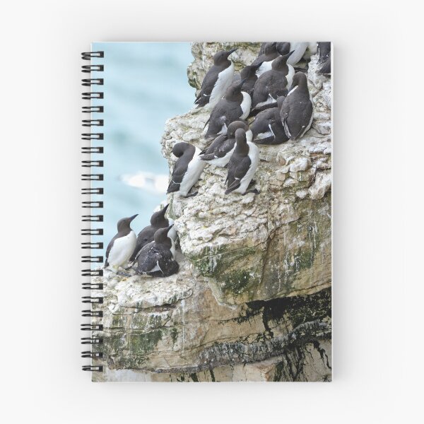 Item preview, Guillemot Colony designed and sold by YussefRafik.