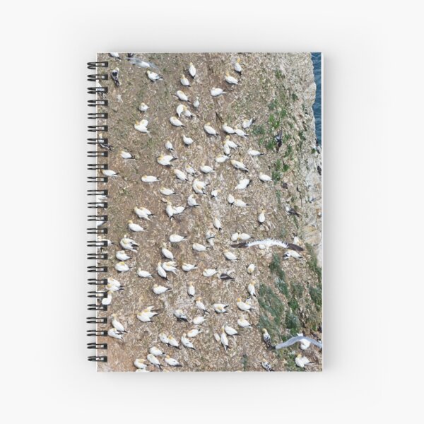 Item preview, Gannet Colony designed and sold by YussefRafik.