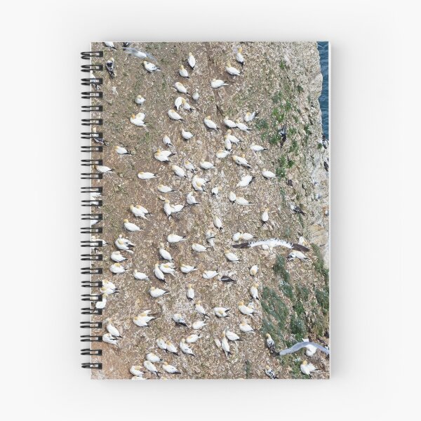 Item preview, Gannet Colony designed and sold by YussefRafik.