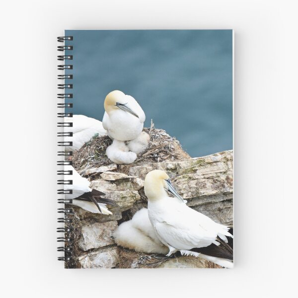 Item preview, Gannets designed and sold by YussefRafik.