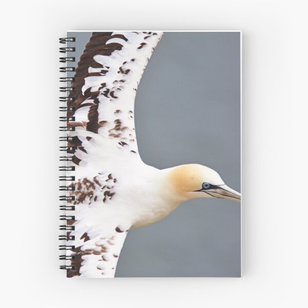 Item preview, Gannet designed and sold by YussefRafik.