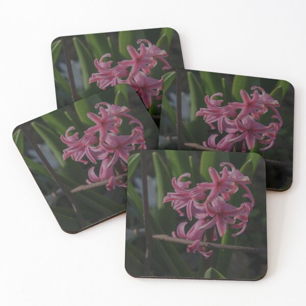 Item preview, Pink Hyacinths designed and sold by TheeForestFox Shop.