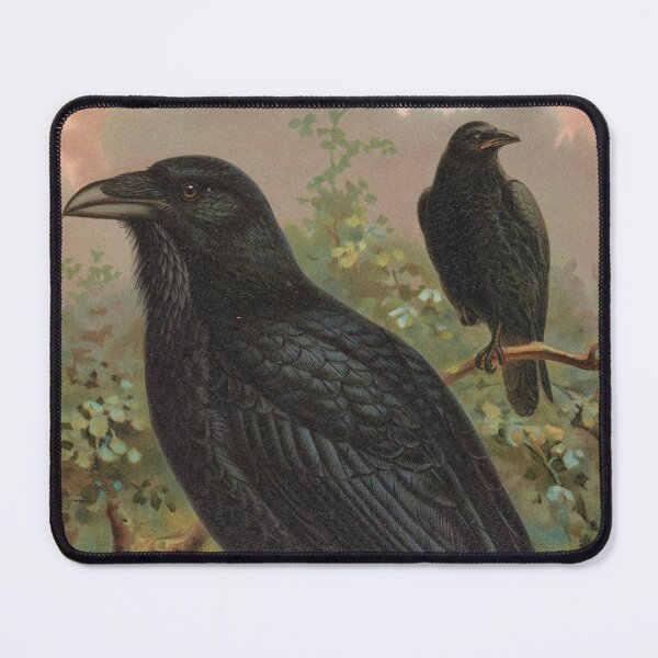 Item preview, Corvus Corax: Captivating Raven Artwork by J.F.Naumann designed and sold by Lacasadellora.