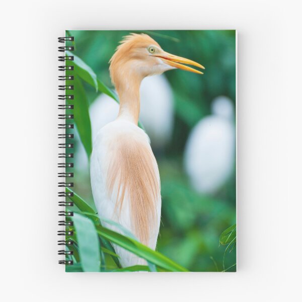 Item preview, Cattle heron on the tree. -The egret birds designed and sold by kstanvir.