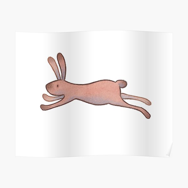 The Flying Rabbit Poster