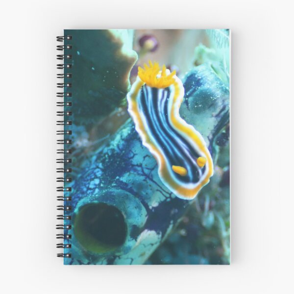 Item preview, Striped Chromodoris designed and sold by ScubaPrincesss.