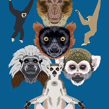 Artwork thumbnail, Primate Collection by GeoCreate
