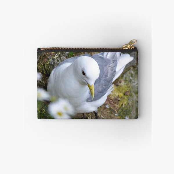 Item preview, Kittiwake designed and sold by YussefRafik.