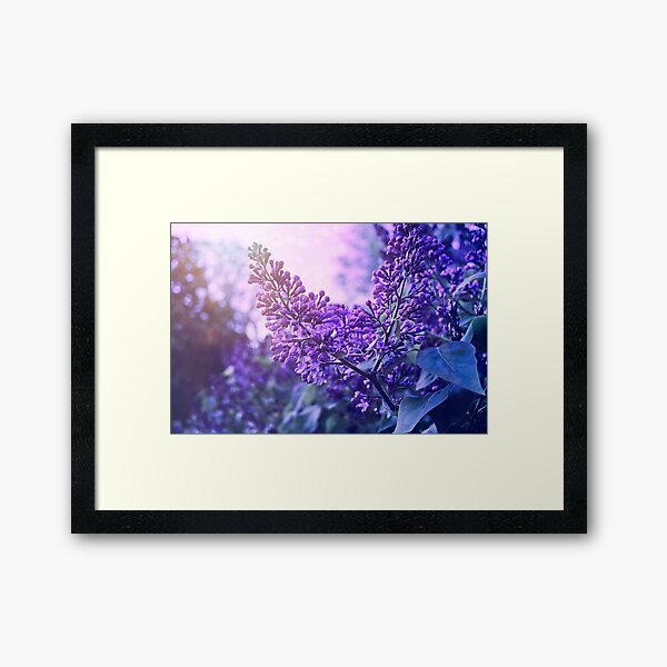 Item preview, Dream of Lilacs 1 designed and sold by Taina Sohlman.