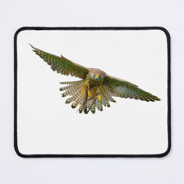 Item preview, Wind hover designed and sold by Dalyndigital Photography.