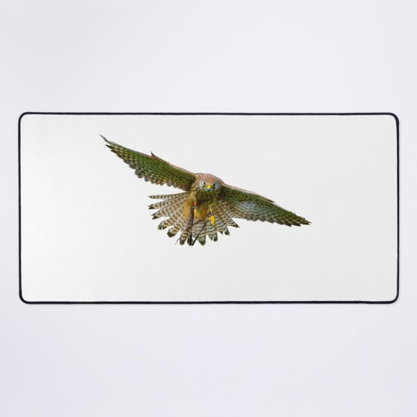 Item preview, Wind hover designed and sold by Dalyndigital Photography.
