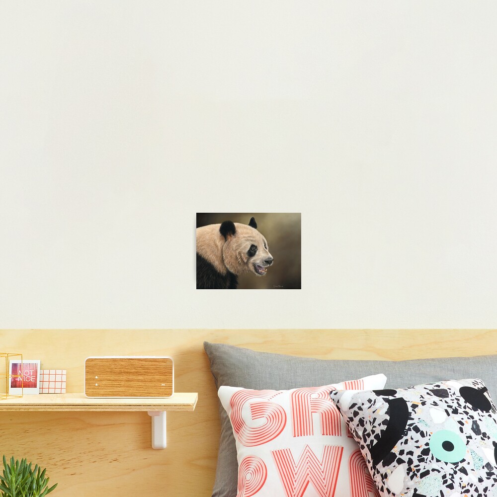 Giant Panda Photographic Print