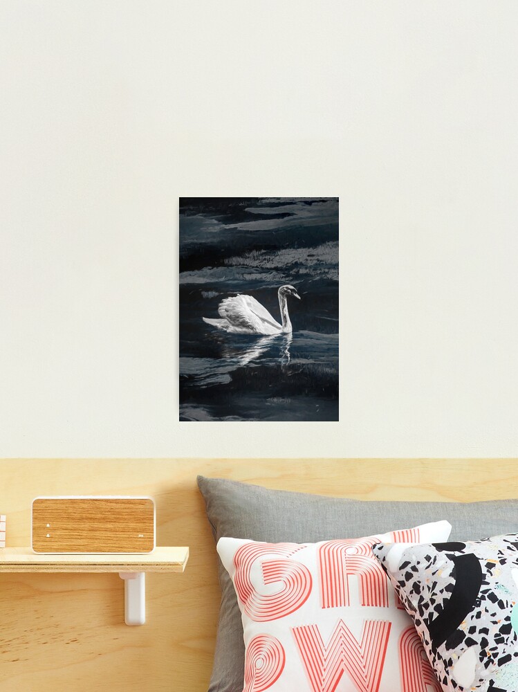 Thumbnail 1 of 3, Photographic Print, Swan in lake by Brian Vegas designed and sold by Brian Vegas.