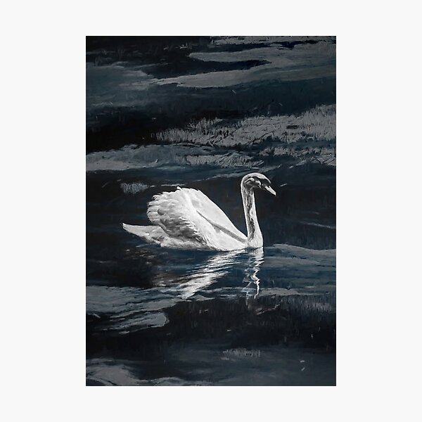 Photographic Print