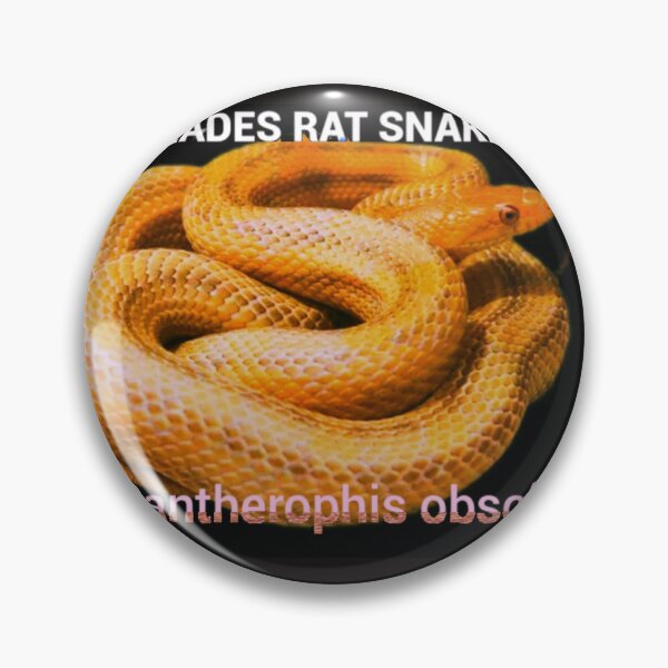 Item preview, Everglades Rat Snake Pantherophis obsoleta rossalleni  designed and sold by StrangeFetish.
