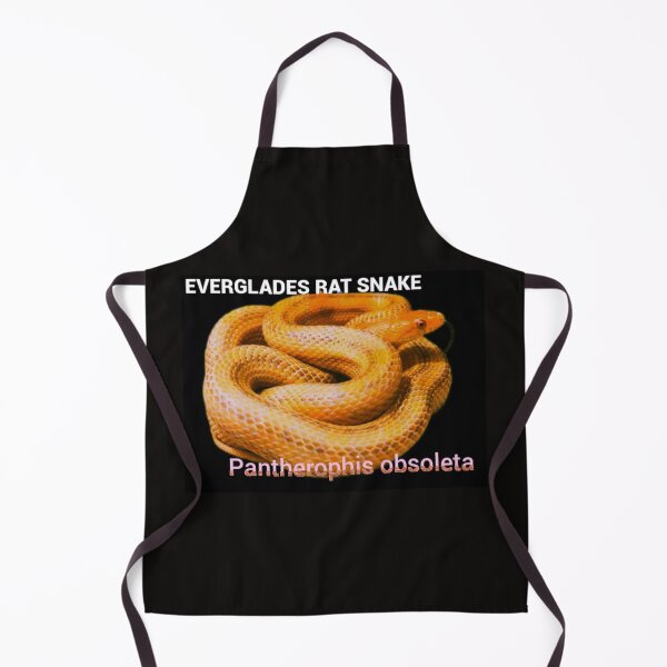 Item preview, Everglades Rat Snake Pantherophis obsoleta rossalleni designed and sold by StrangeFetish.