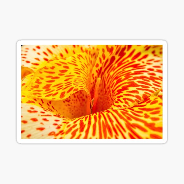 Item preview, Brilliant Orange Iris designed and sold by robspencer.
