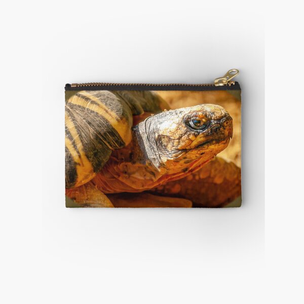 Item preview, Just Dozing in the Sunshine designed and sold by Dalyndigital Photography.