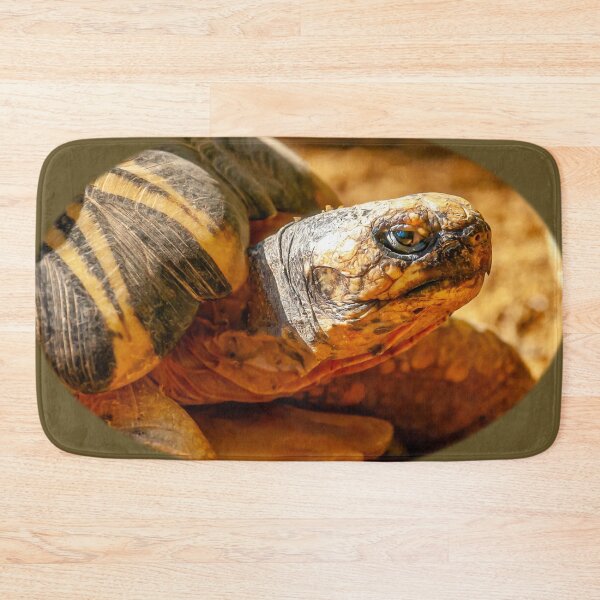 Item preview, Just Dozing in the Sunshine designed and sold by Dalyndigital Photography.