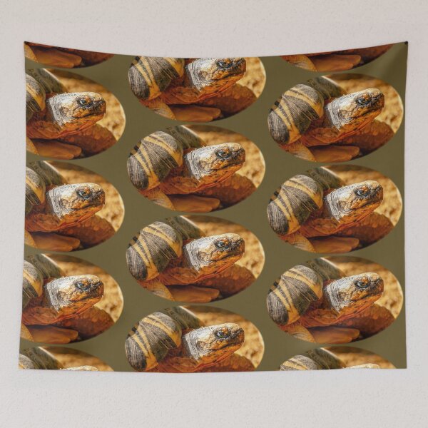 Item preview, Just Dozing in the Sunshine designed and sold by Dalyndigital Photography.
