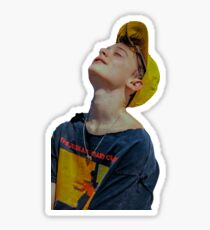 Noah Schnapp Sticker
