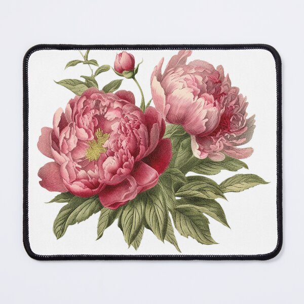 Item preview, Vintage Illustration of beautiful Peonies designed and sold by Happy Mood Design.
