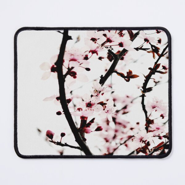 Item preview, Plum blossom white flowers spring background designed and sold by by-jwp.