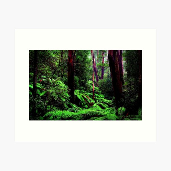 Item preview, Rain Forest designed and sold by FitZac1.