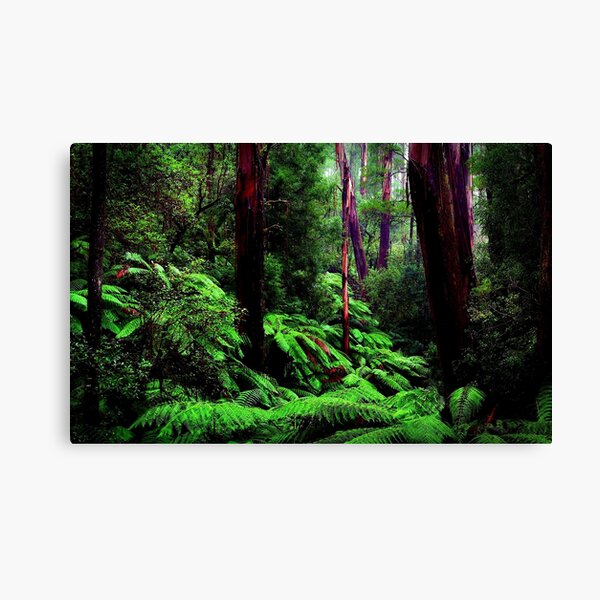 Item preview, Rain Forest designed and sold by FitZac1.