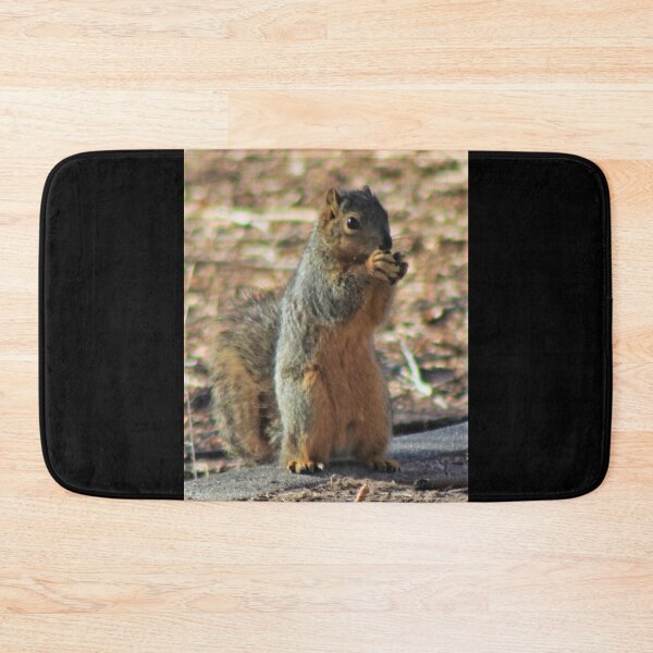 Item preview, Squirrel Meal designed and sold by craftsbydaphy.