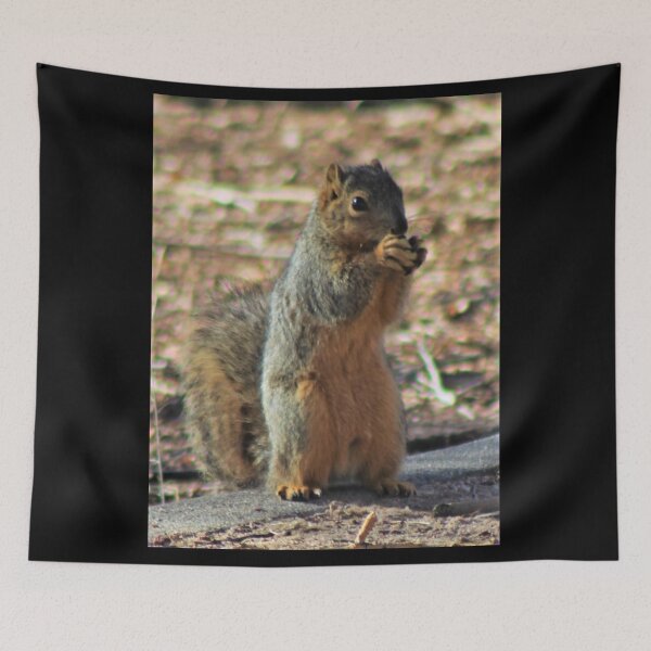 Item preview, Squirrel Meal designed and sold by craftsbydaphy.