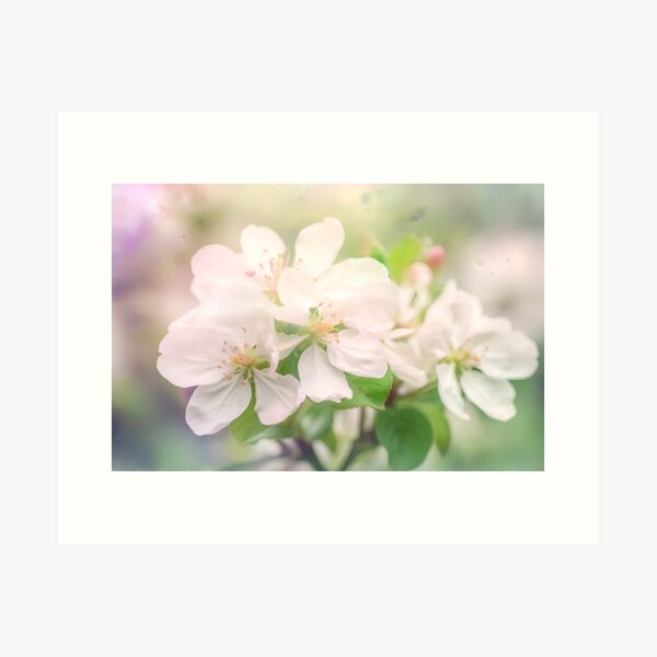 Item preview, Apple blossom -3 designed and sold by AIArtShopPro.
