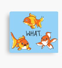 Goldfish Canvas Print