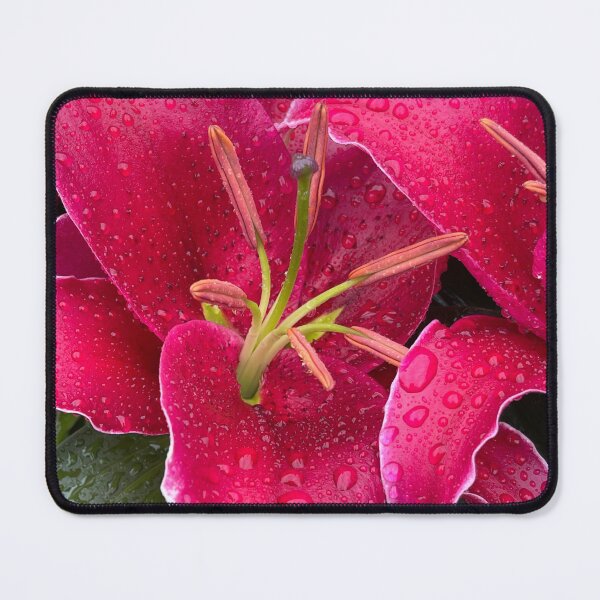 Item preview, Springtime In The South designed and sold by Matthew C Seufer.