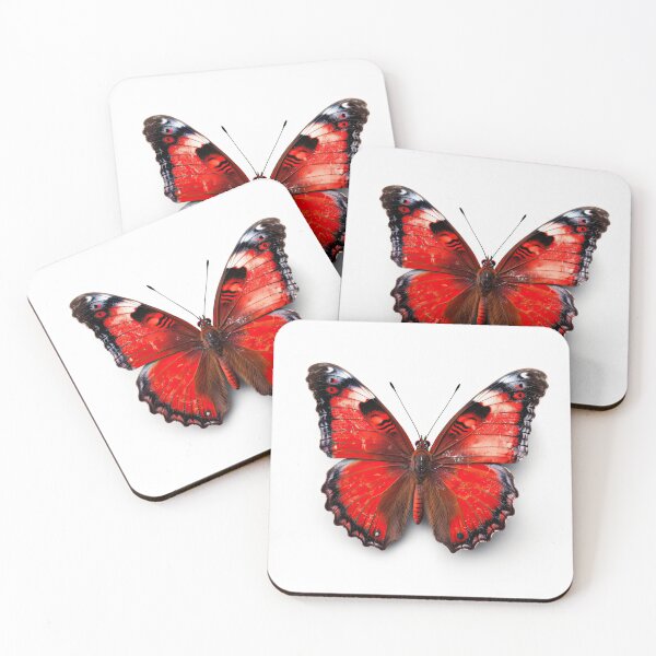 Item preview, Red butterfly designed and sold by pietrofoto.
