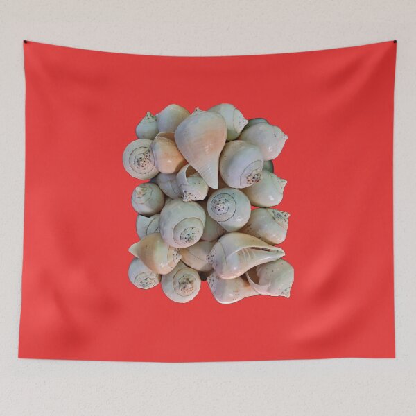 Item preview, White conch/ Blowing shell/shankh designed and sold by VeenaNair23.