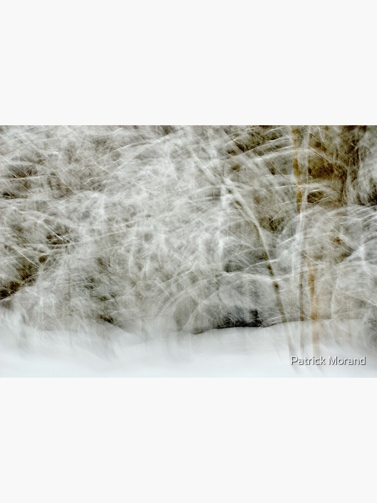 Snowstorm in Valserine forest by patmo