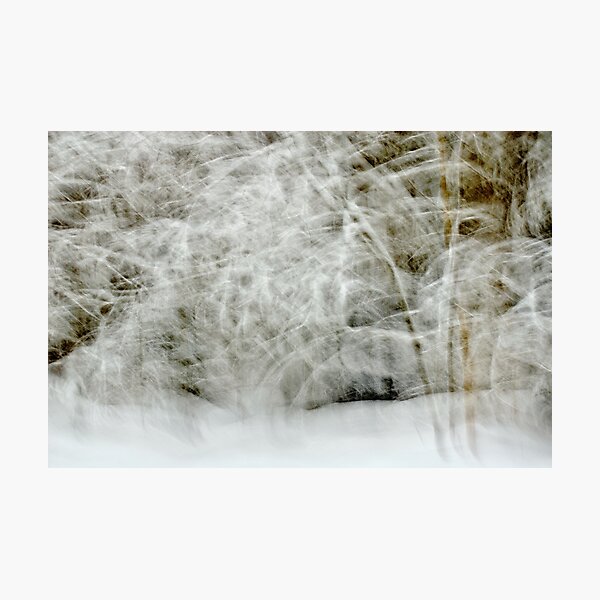 Photographic Print