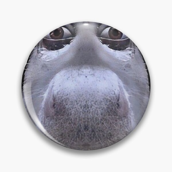 Item preview, Donkey casually looking down on you MEME designed and sold by erianacree.