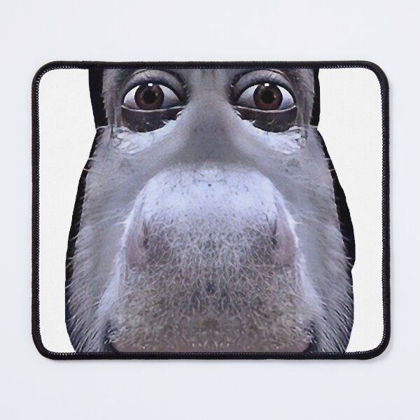 Item preview, Donkey casually looking down on you MEME designed and sold by erianacree.