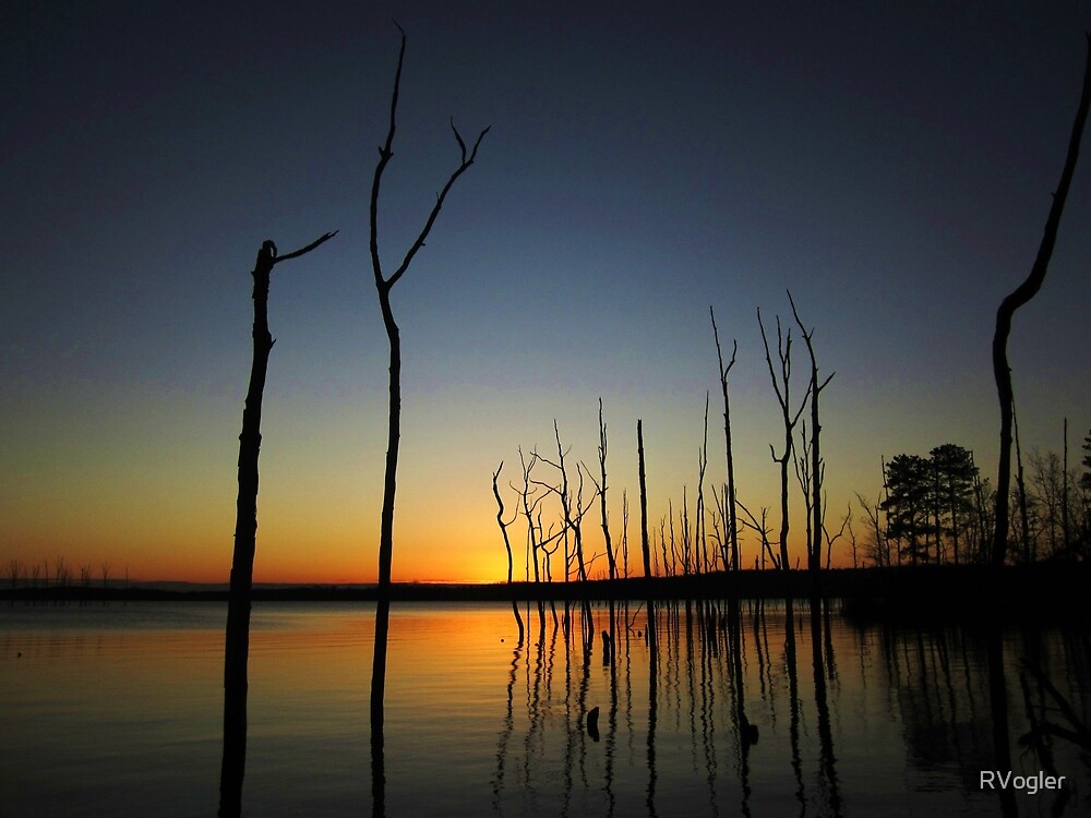 A New Day Dawns by Terry Lister A New Day Dawns by Terry Lister