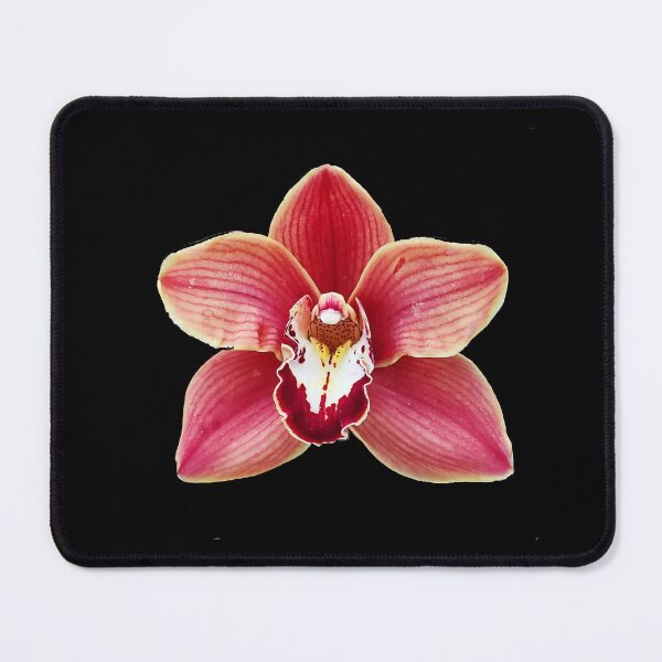 Item preview, Orchid, Cymbidium designed and sold by annasofia.